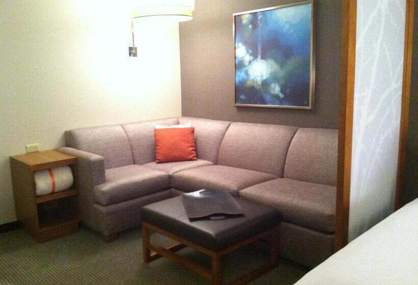 Номер Стандарт 2 Двуспальные Кровати, Hyatt Place Detroit/novi