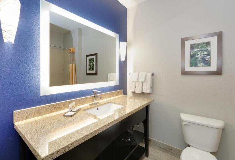 Студио Executive, La Quinta By Wyndham Denton   University Drive