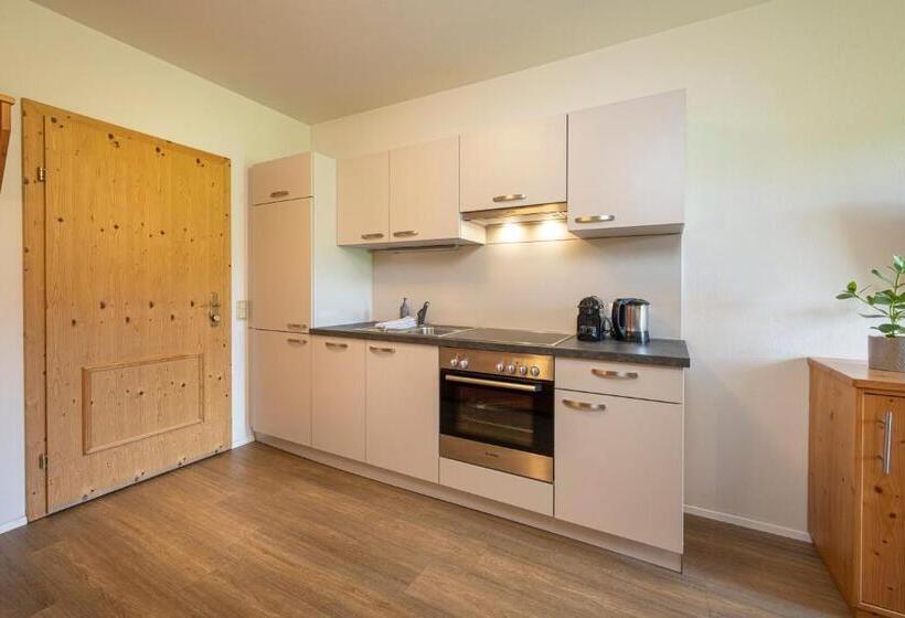 Апартаменты 1 Спальня с Балконом, Aparthotel Stadler