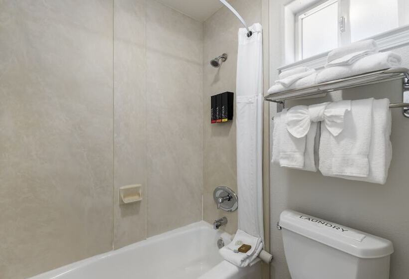 Номер Стандартный Кровать Куин, Beachcomber Motel