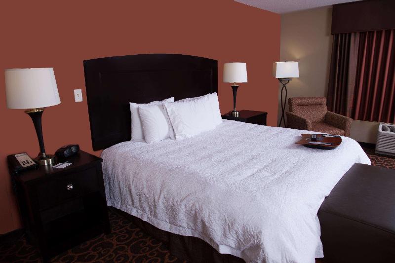 Студио Стандарт Кровать Кинг, Hampton Inn & Suites Dickinson