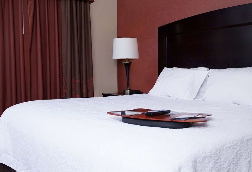 Студио Стандарт Кровать Кинг, Hampton Inn & Suites Dickinson