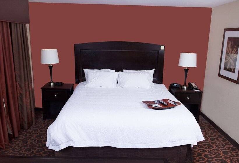 Студио Стандарт Кровать Кинг, Hampton Inn & Suites Dickinson