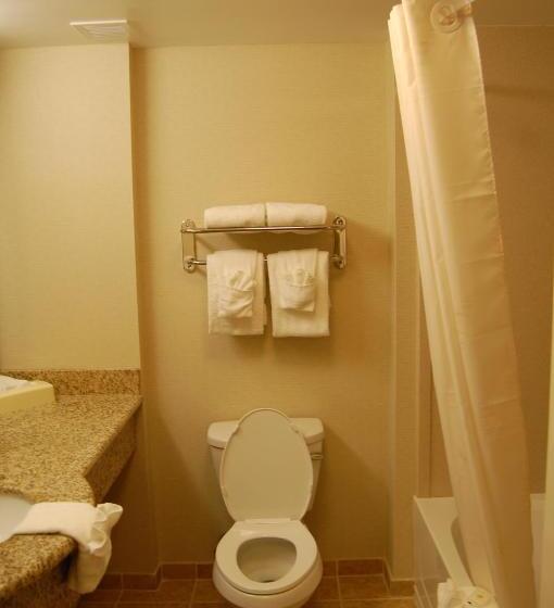 Номер Стандарт, Comfort Inn & Suites