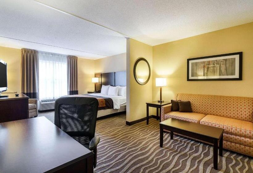 Люкс Кровать Кинг, Comfort Inn & Suites