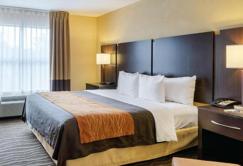 Номер Стандарт Кровать Кинг Адаптированный для Инвалидов, Comfort Inn & Suites