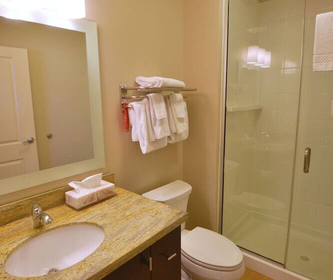 Люкс 2 Спальни, Towneplace Suites By Marriott Williamsport