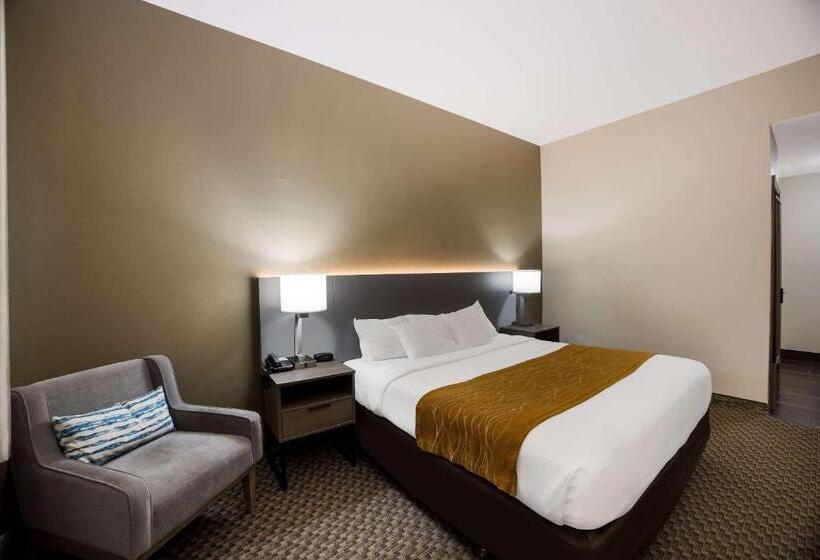 Номер Стандарт Кровать Кинг Адаптированный для Инвалидов, Comfort Inn & Suites Midway   Tallahassee West