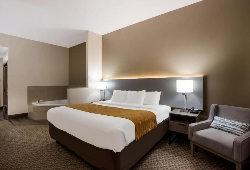 Стандартный Номер Кровать Кинг, Comfort Inn & Suites Midway   Tallahassee West