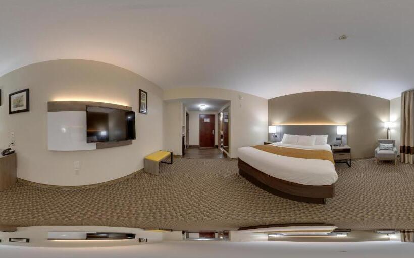Стандартный Номер Кровать Кинг, Comfort Inn & Suites Midway   Tallahassee West