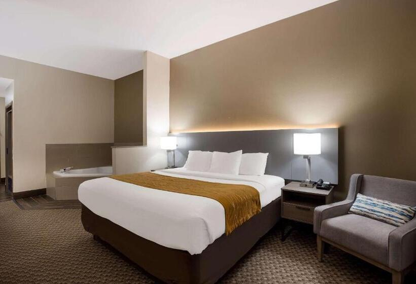 Стандартный Номер Кровать Кинг, Comfort Inn & Suites Midway   Tallahassee West
