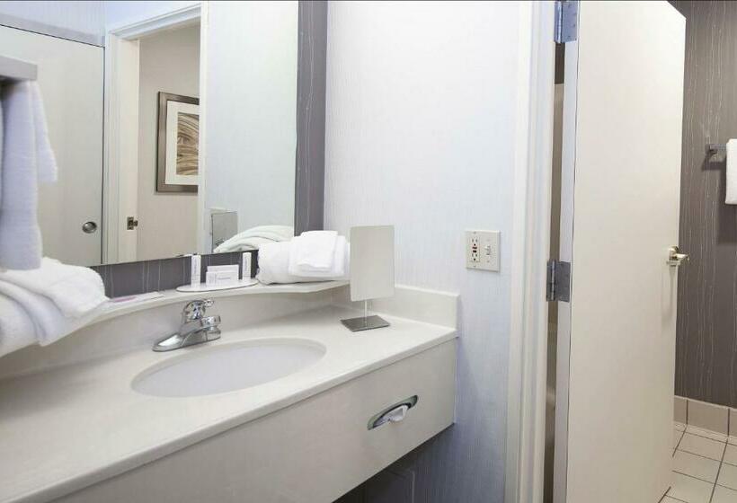Стандартный Номер Кровать Кинг, Courtyard By Marriott Valdosta
