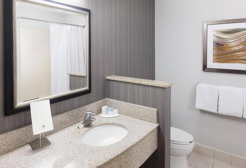Номер Стандарт Кровать Кинг Адаптированный для Инвалидов, Courtyard By Marriott Hattiesburg