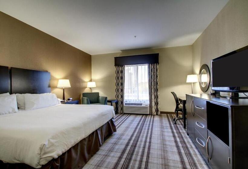 스탠다드 룸 킹사이즈 침대, Holiday Inn Express Natchez South West, An Ihg
