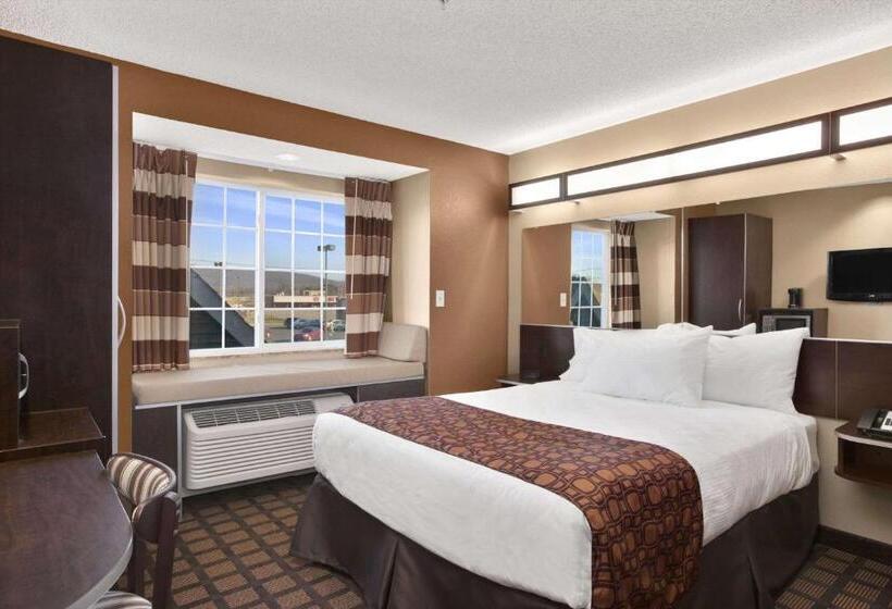 장애인용 디럭스룸, Microtel Inn & Suites Sayre, Pa