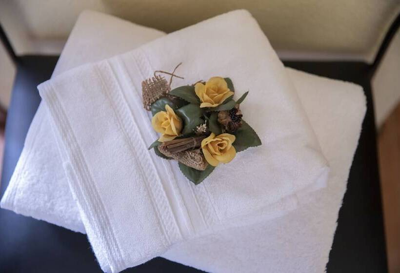 اتاق استاندارد, Hostal Tokio