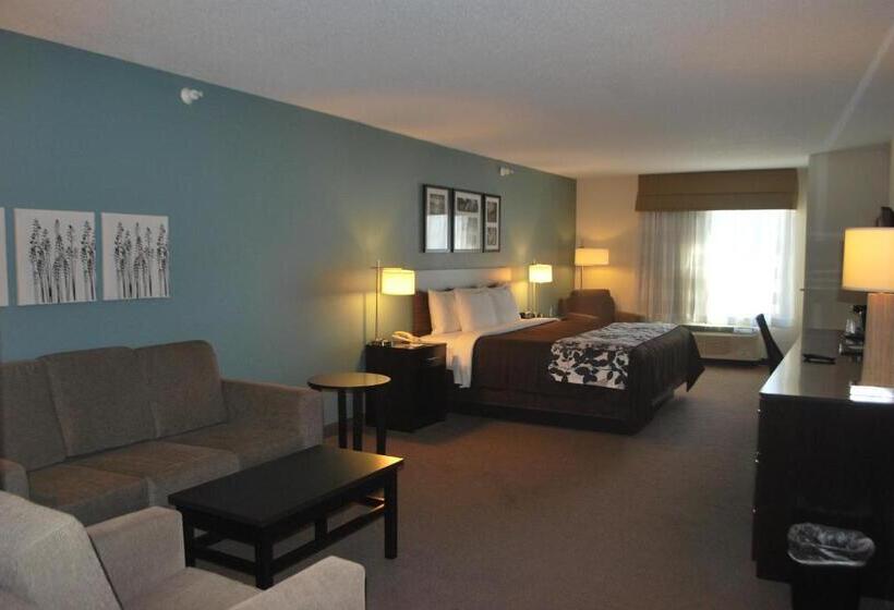스탠다드 룸 킹사이즈 침대, Sleep Inn & Suites Clintwood