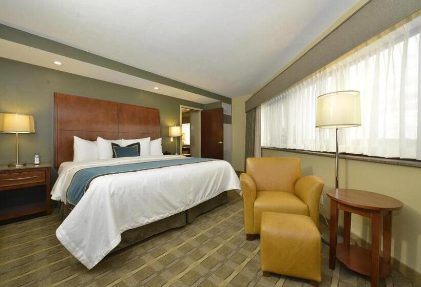 스탠다드 룸 킹사이즈 침대, Oshkosh Marriott Waterfront Hotel & Convention Center