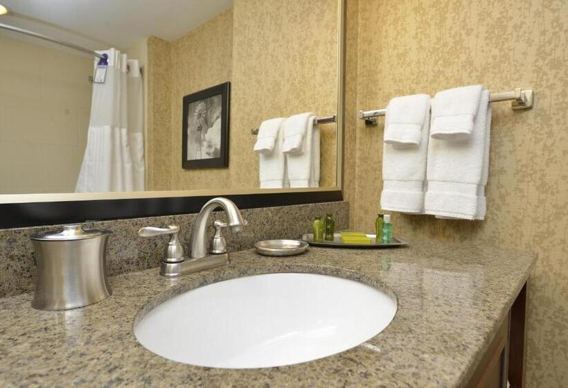 Номер Стандарт Вид на Город, Oshkosh Marriott Waterfront Hotel & Convention Center