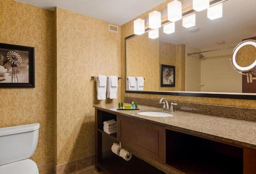 스탠다드 룸 강 전망, Oshkosh Marriott Waterfront Hotel & Convention Center