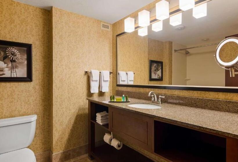 Номер Стандарт Вид на Реку, Oshkosh Marriott Waterfront Hotel & Convention Center