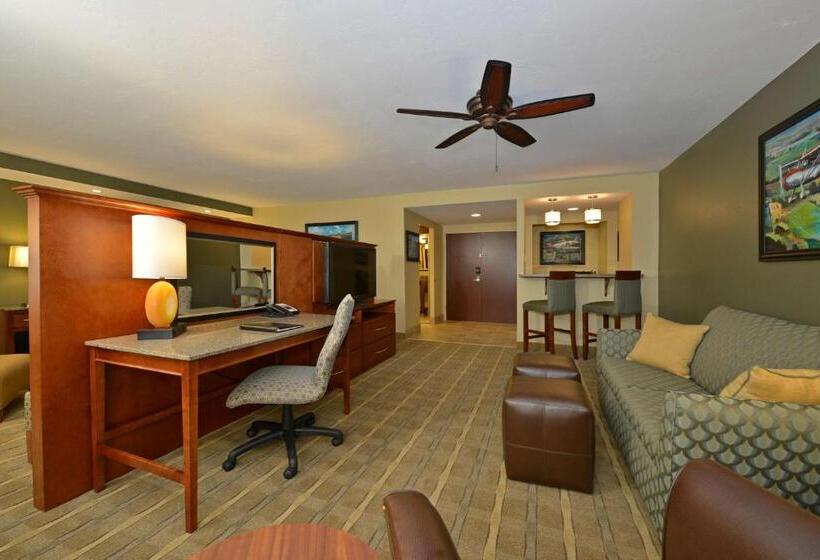 이그제큐티브 스위트 킹침대, Oshkosh Marriott Waterfront Hotel & Convention Center