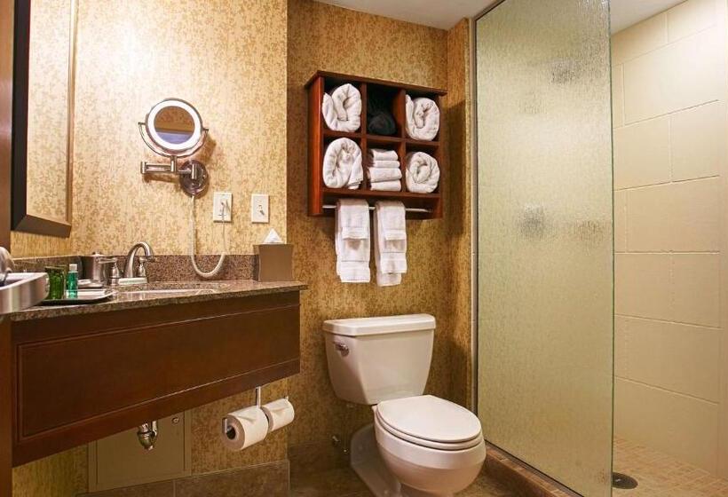 Люкс Кровать Кинг, Oshkosh Marriott Waterfront Hotel & Convention Center