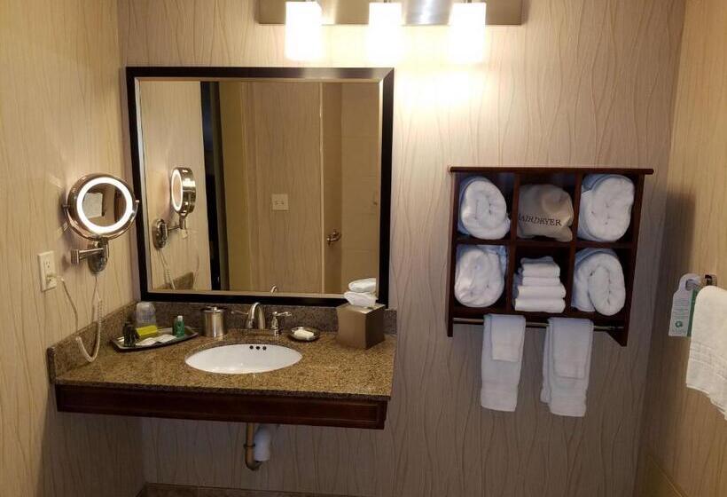 Номер Стандарт Адаптированный для Инвалидов, Oshkosh Marriott Waterfront Hotel & Convention Center