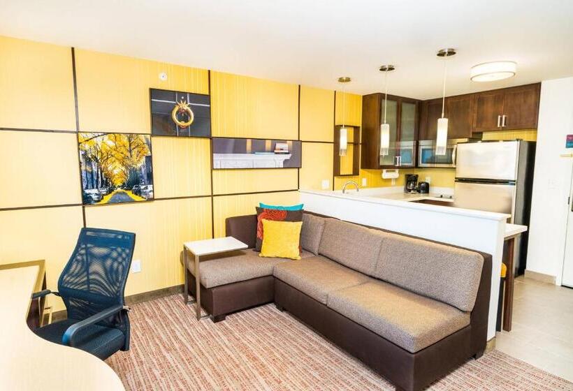 استودیو استاندارد با تخت کینگ, Residence Inn By Marriott Albany Washington Avenue