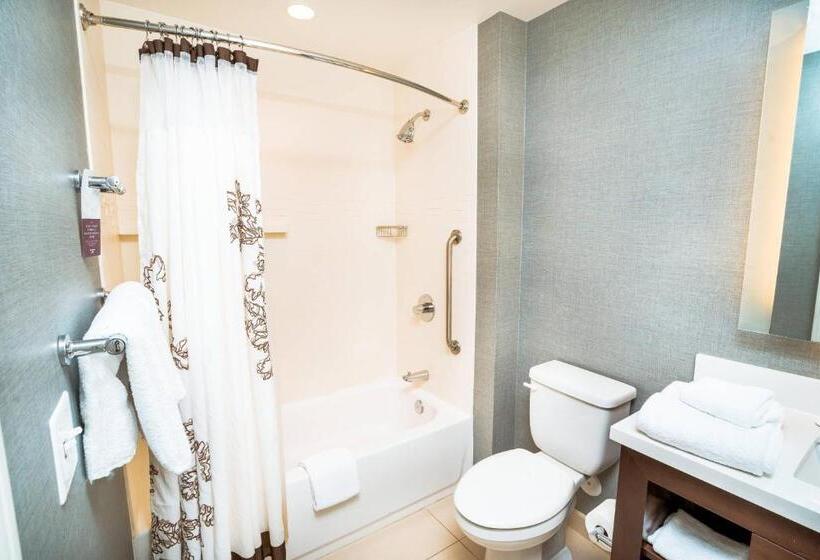 سوییت, Residence Inn By Marriott Albany Washington Avenue