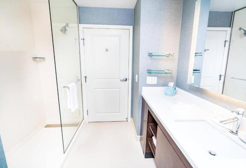 استودیوی استاندارد, Residence Inn By Marriott Albany Washington Avenue