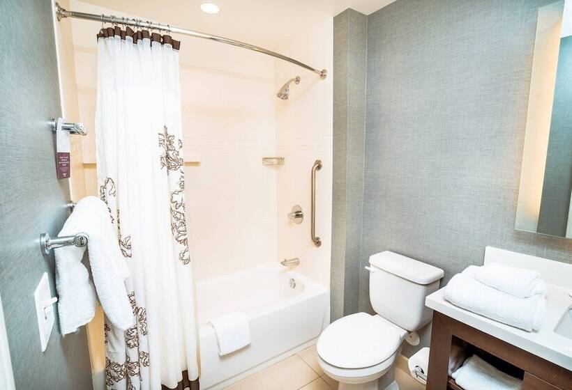 سوییت, Residence Inn By Marriott Albany Washington Avenue