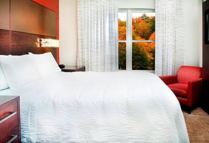 سوییت, Residence Inn By Marriott Albany Washington Avenue