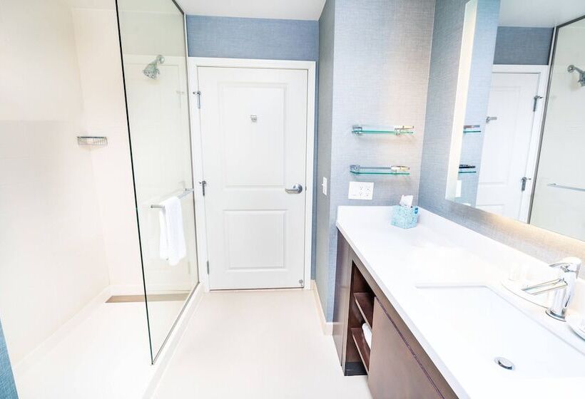 سوییت, Residence Inn By Marriott Albany Washington Avenue