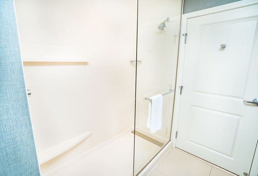 استودیوی استاندارد, Residence Inn By Marriott Albany Washington Avenue