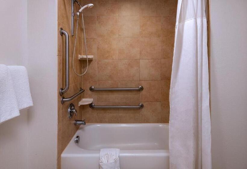 带大床的套房, Residence Inn Beaumont
