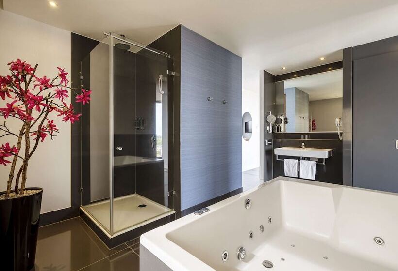 豪华套房, Mercure Hotel Amersfoort Centre