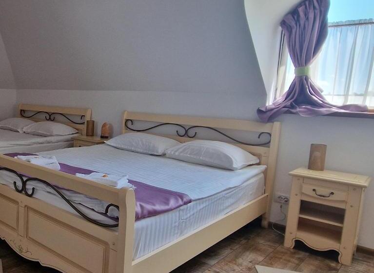 스탠다드 룸 킹사이즈 침대, Provence Suceava