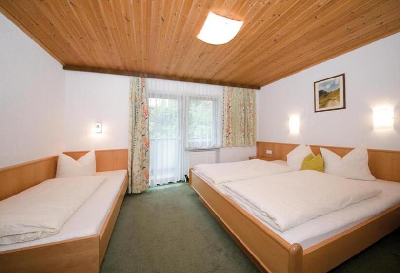 Апартаменты 1 Спальня, Garni Austria Kappl