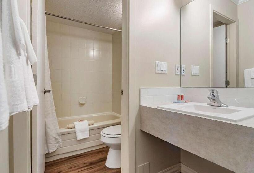 اتاق استاندارد با 2 تخت دوبل, Econo Lodge Inn & Suites