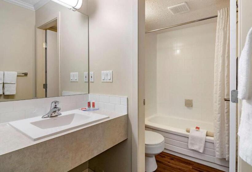 اتاق استاندارد, Econo Lodge Inn & Suites