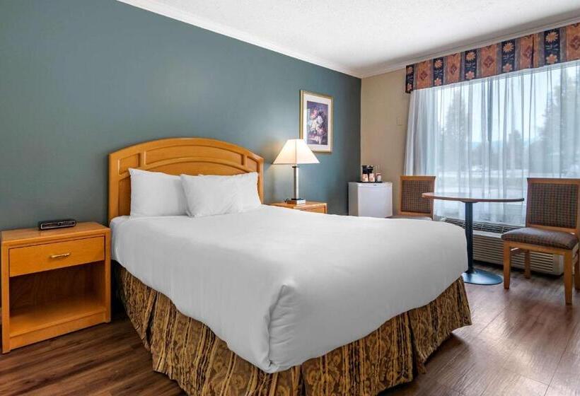 اتاق استاندارد, Econo Lodge Inn & Suites