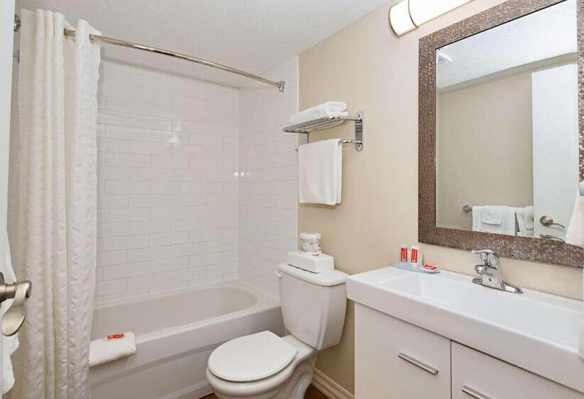 اتاق استاندارد, Econo Lodge Inn & Suites
