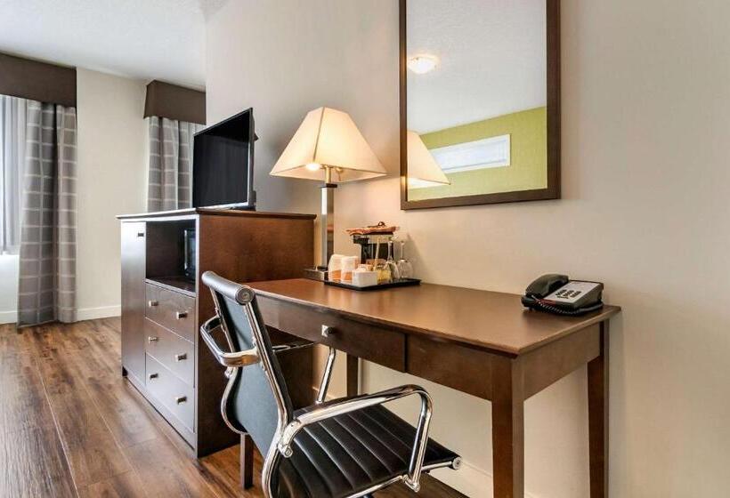 اتاق سوپریور, Econo Lodge Inn & Suites