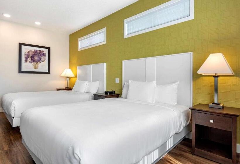 اتاق سوپریور, Econo Lodge Inn & Suites