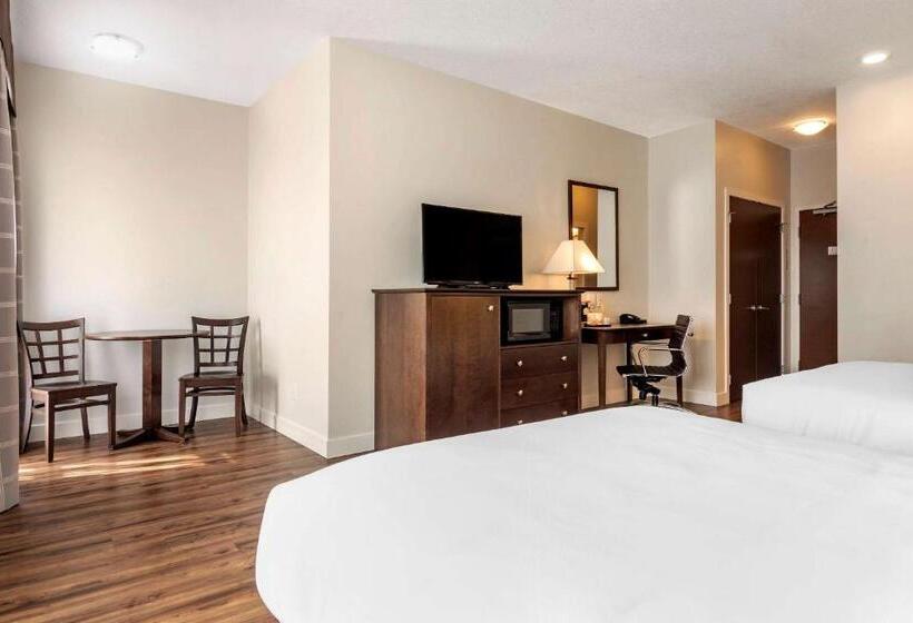 اتاق سوپریور, Econo Lodge Inn & Suites