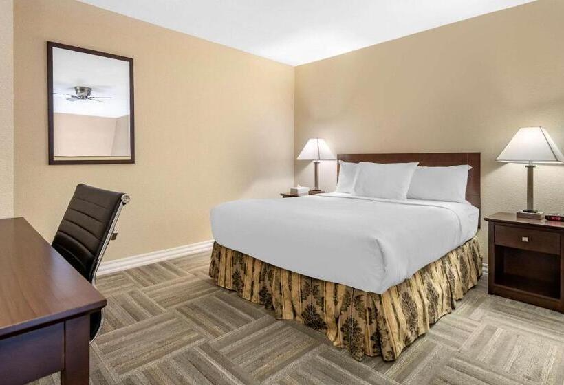 اتاق استاندارد, Econo Lodge Inn & Suites