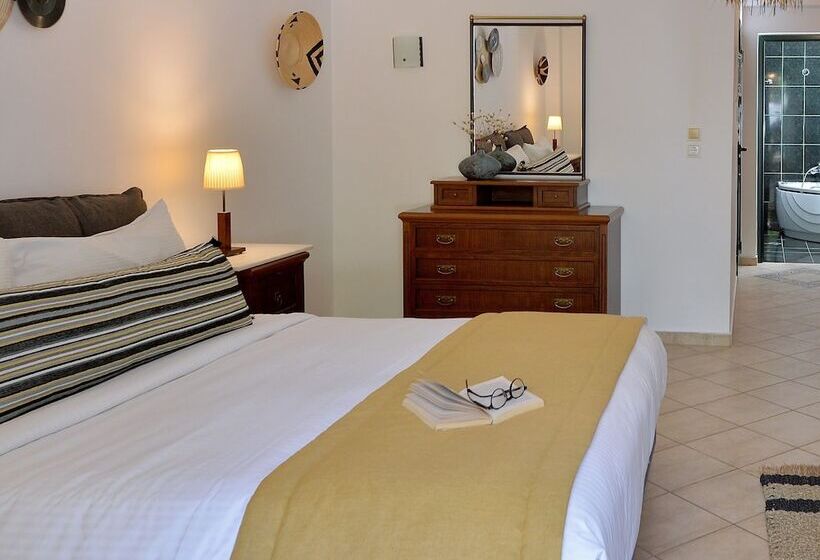 اتاق کلاسیک, Aktaion Beach Boutique Hotel & Spa