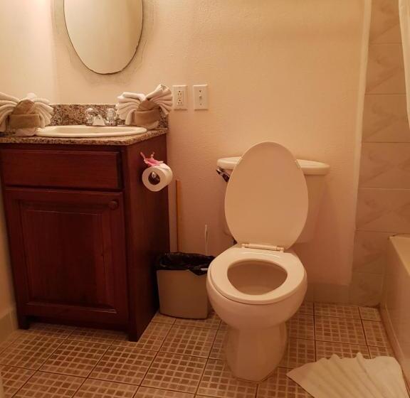 Номер Стандарт Вид на Сад, Sea View Suites