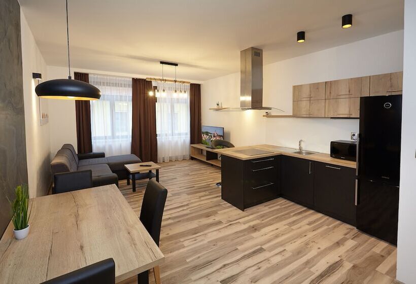 带1个卧室的公寓, Residence U černé Věže české Budějovice